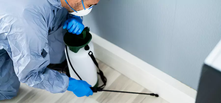 Fumigate Apartment Roaches in Bend