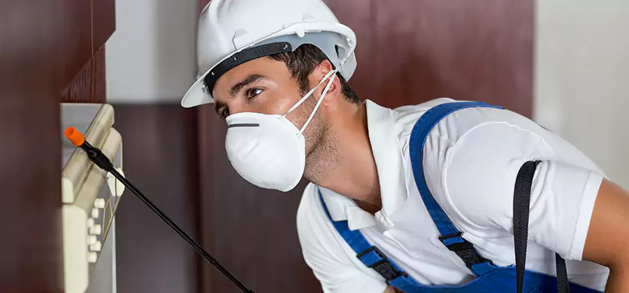 Injection Foam Treatment for Drywood Termites in Bend