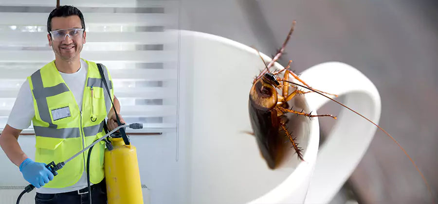 German Roach Infestation Treatment Bend