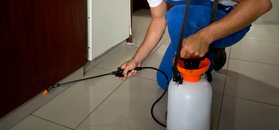 Indoor Mosquito Treatment in Bend