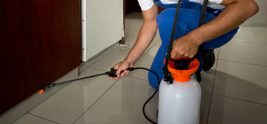 Indoor Insect Killer Solutions in Bend