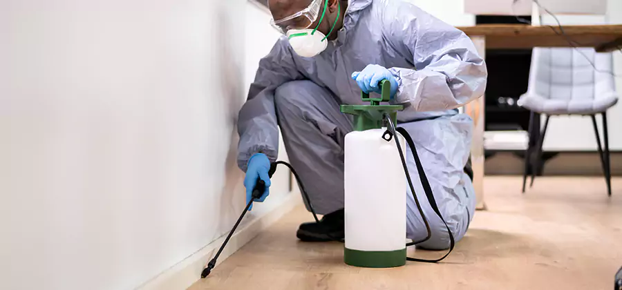 Long Lasting Mosquito Treatment in Bend