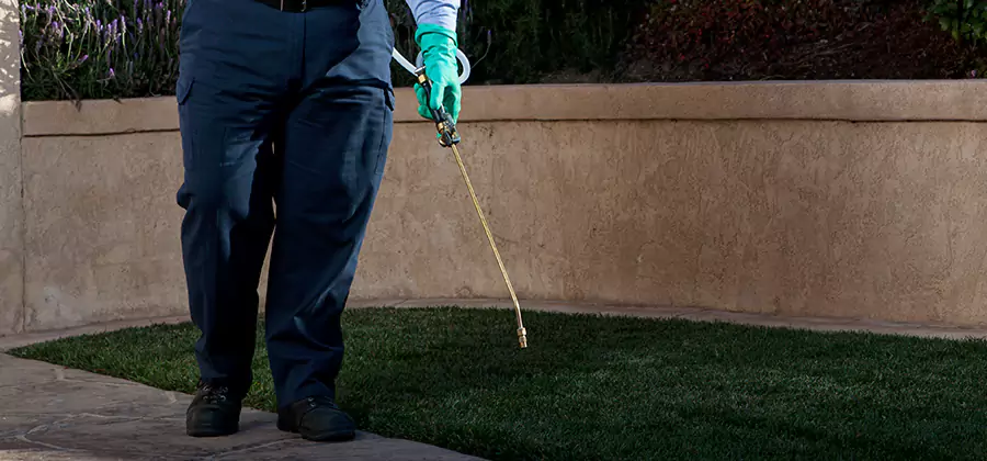 Soil Treatment for New Construction Termites in Bend