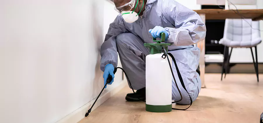 No Tent Termite Extermination With Electric Tool in Bend