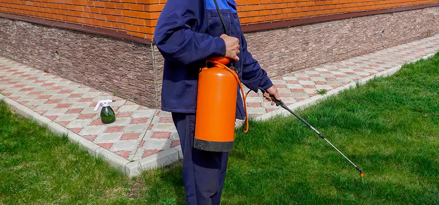 Non Toxic Termite Treatment in Bend