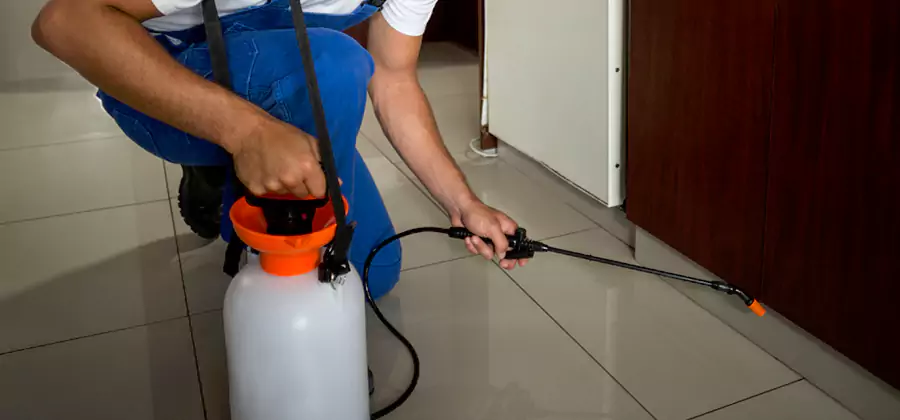 One Time Termite Control in Bend