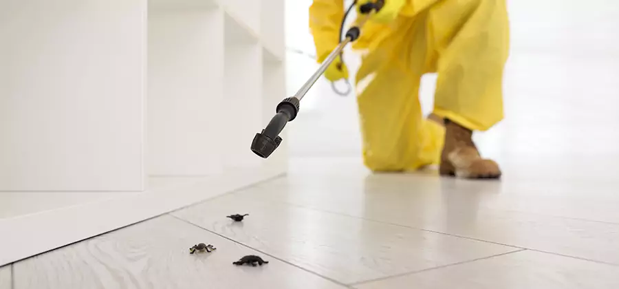 Roach and Bed Bug Exterminator in Bend