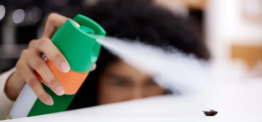 Child Safe Bed Bug Treatment in Bend