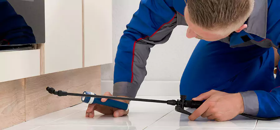 Moisture Treatment For Termite Control Service in Bend