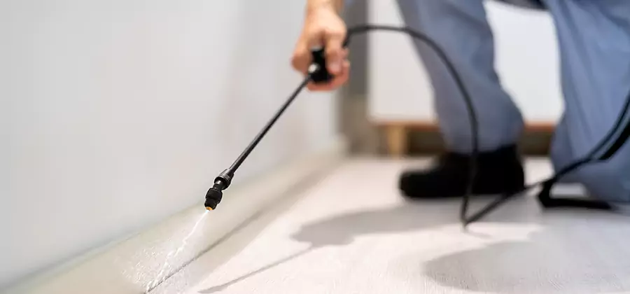 Direct Termite Injection Treatment in Bend