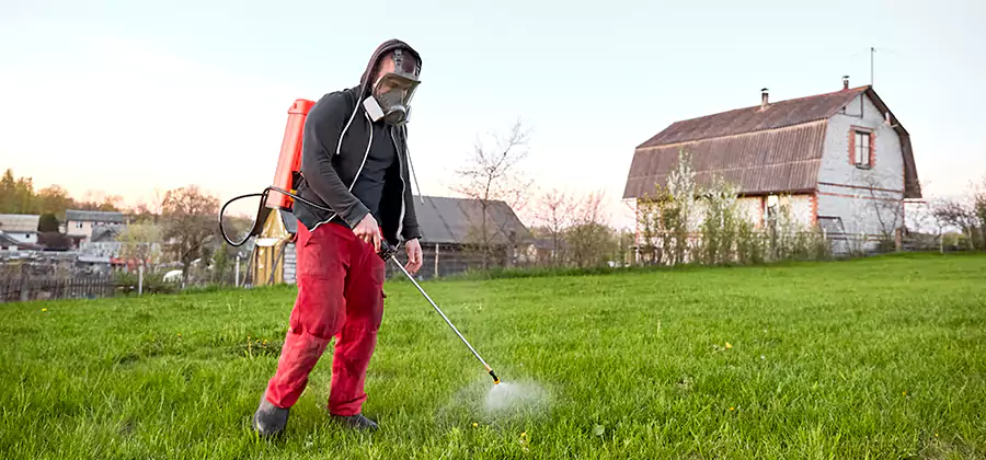 Flea and Tick Pest Control in Bend