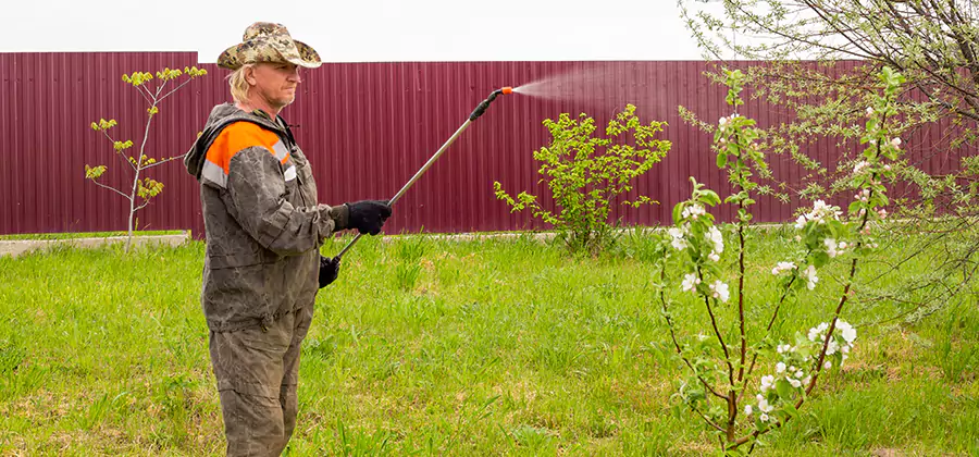 Flea and Tick Spray for Yard in Bend