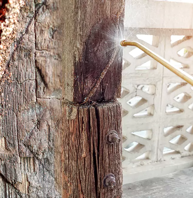 Why Choose Bend Pest Control Pro for Attic Termite Treatment in Bend, OR?
