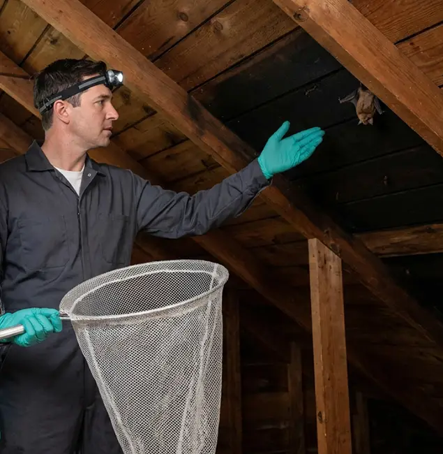 Why Bend Pest Control Pro Is the Right Choice in Bend, OR?