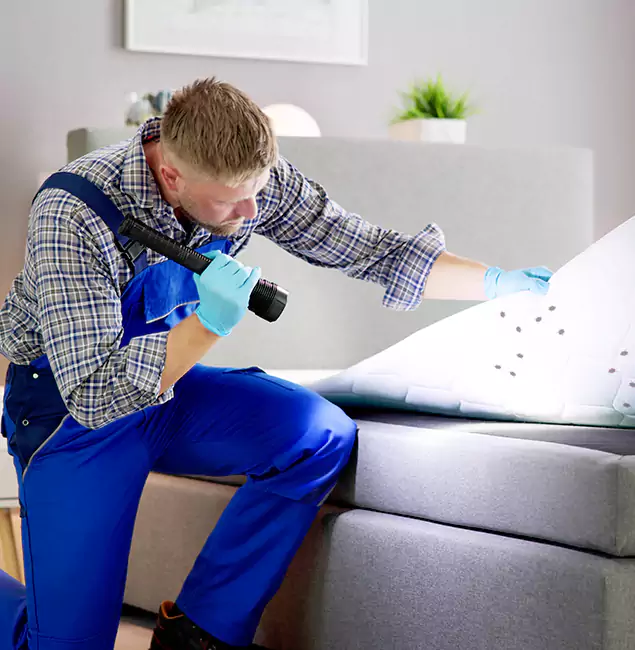 Why Choose Bend Pest Control Pro for Bed Bug Exterminator Cost in Bend, OR?