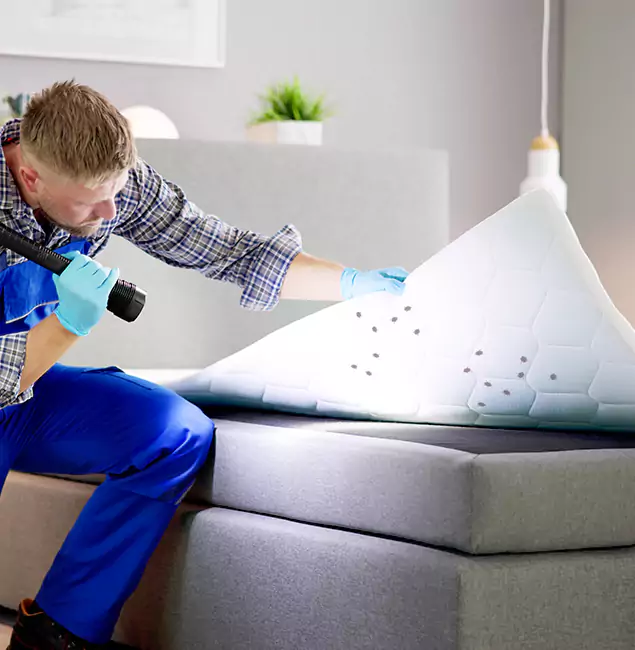 Why Choose Bend Pest Control Pro in Bend, OR?