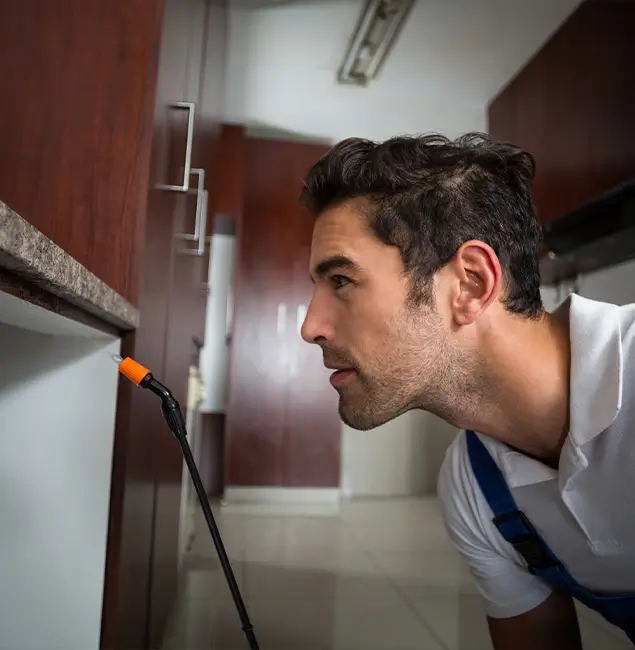 Why Choose Bend Pest Control Pro for Bed Bug Removal Cost in Bend, OR?