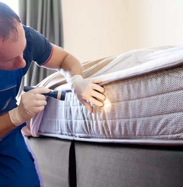 Why Choose Bend Pest Control Pro for Bed Bug Services in Bend, OR?