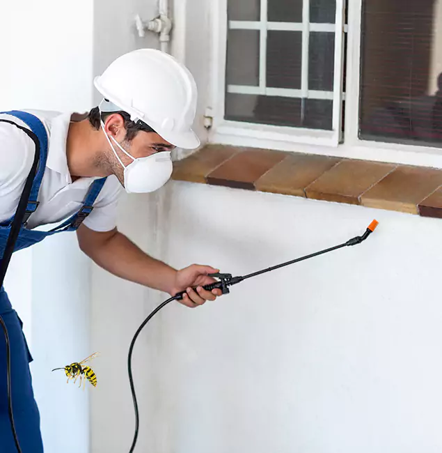 Why Bend Property Owners Choose Bend Pest Control Pro for Bee Nest Removal?