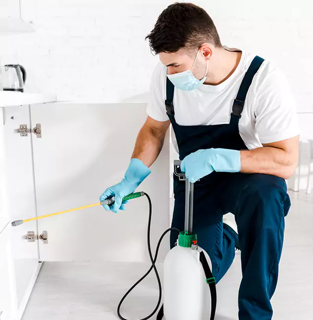 Why Choose Bend Pest Control Pro for Emergency Pest Control in Bend?