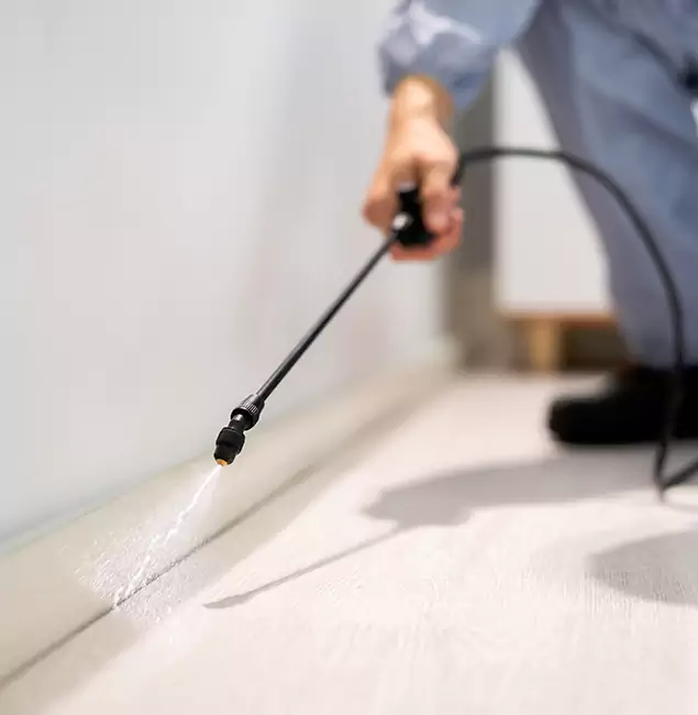 Why Choose Bend Pest Control Pro for Termite Treatment in Bend, OR?