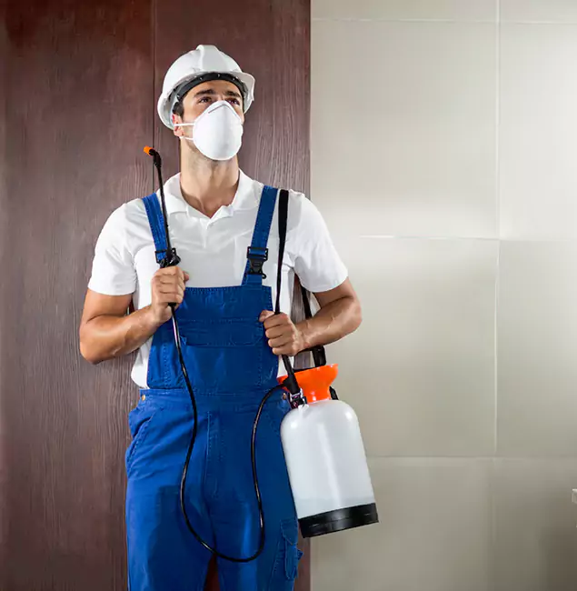 Why Choose Us for Heat Treatment for Termites in Bend, OR?
