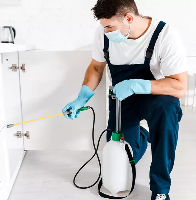 Why Choose Bend Pest Control Pro for Indoor Pest Control in Bend, OR?