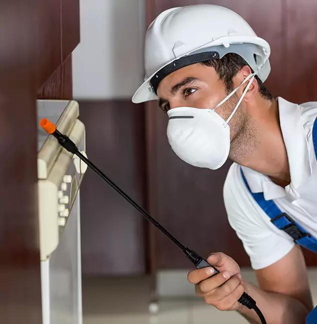 Why Bend Homeowners Rely on Bend Pest Control Pro for Tick Treatment?