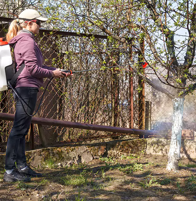 Why Bend Homeowners Choose Bend Pest Control Pro for Mosquito Abatement?
