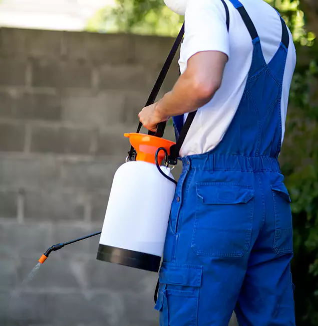 Why Bend Homeowners Rely on Bend Pest Control Pro for Mosquito Control?