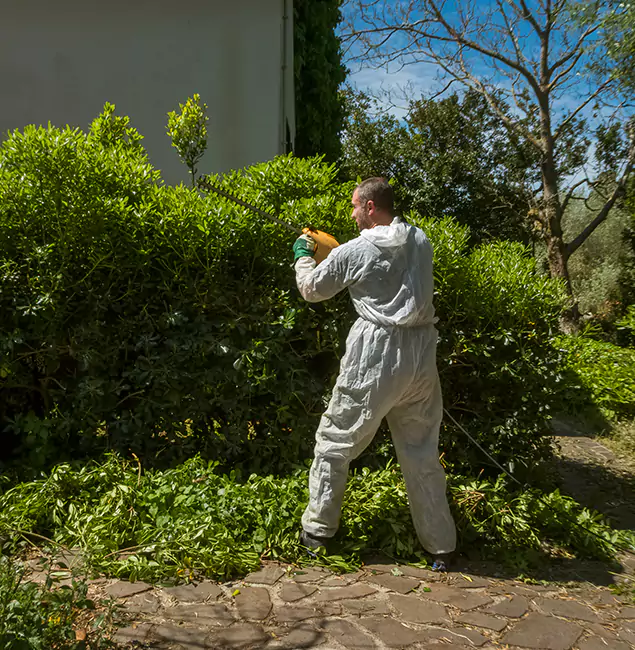 Why Bend Pest Control Pro Leads Mosquito Control in Bend, OR?
