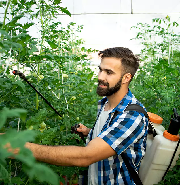 Why Bend Homeowners Choose Bend Pest Control Pro for Mosquito Spraying?