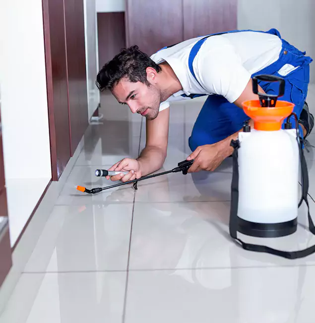 Why Bend Pest Control Pro Is the Proven Choice in Bend, OR?