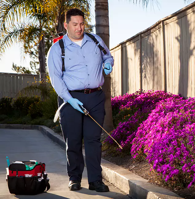 Why Choose Bend Pest Control Pro in Bend, OR?