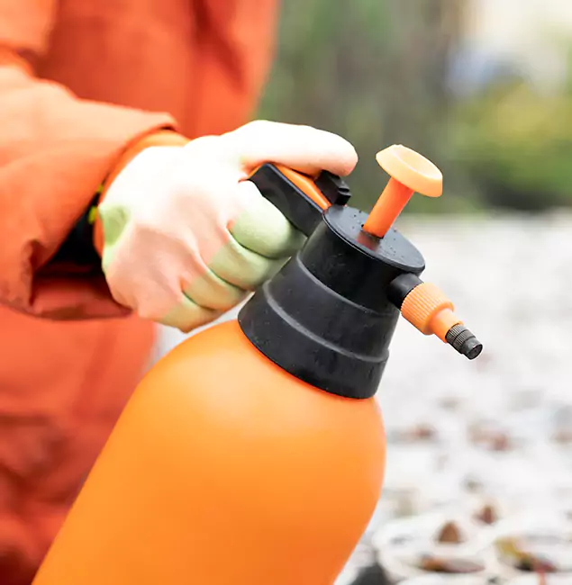 Why Choose Bend Pest Control Pro for Orange Termite Treatment in Bend, OR?