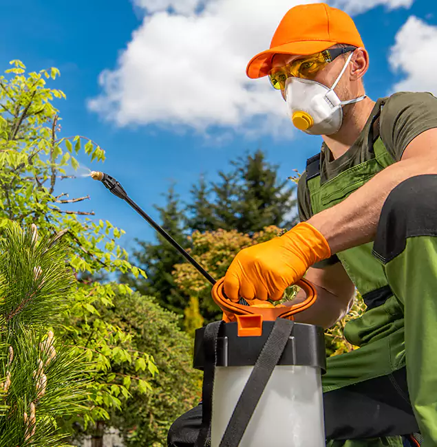 Why Choose Bend Pest Control Pro for Outdoor Pest Control in Bend, OR?