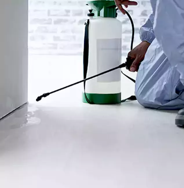 Why Choose Bend Pest Control Pro for Rat Exterminator in Bend, OR?