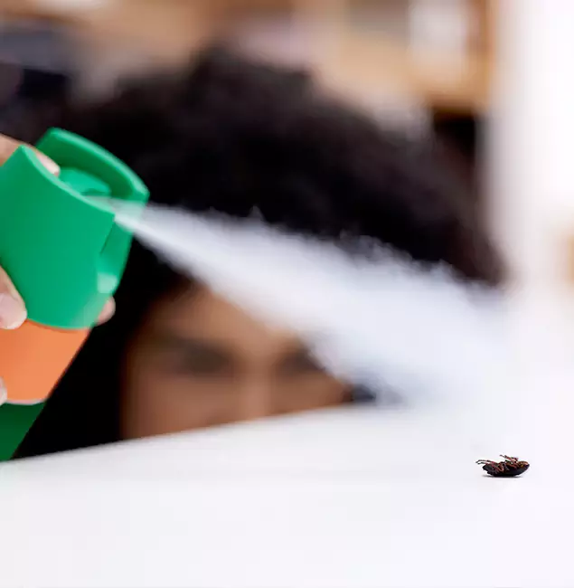 Why Bend, OR Homeowners Choose Bend Pest Control Pro for Roach Pest Control?
