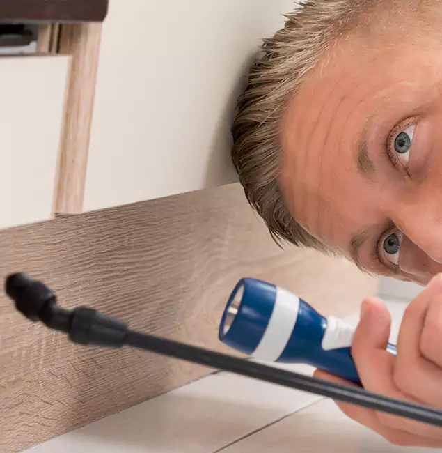 Why Choose Bend Pest Control Pro for Rodent Exterminator in Bend, OR?