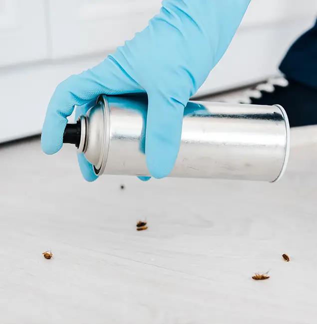 Why Choose Bend Pest Control Pro for Safe Bed Bug Treatment in Bend, OR?