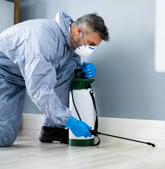 Why Choose Bend Pest Control Pro for Subterranean Termites Treatment in Bend, OR?