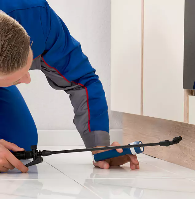 Why Bend Residents Choose Bend Pest Control Pro to Get Rid of Sugar Ants?