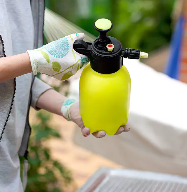 Why Choose Us: Bend Pest Control Pro Termite Spraying Experts in Bend, OR?