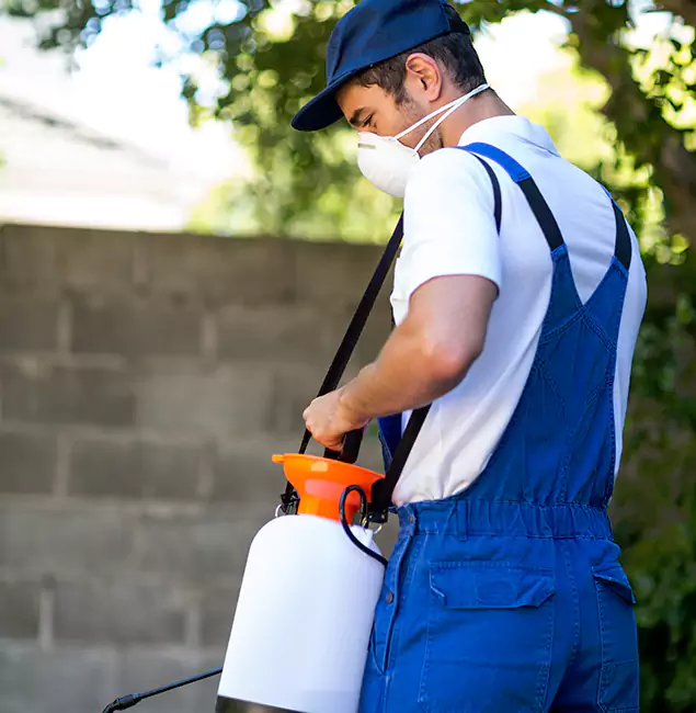 Why Bend Pest Control Pro Is the Right Choice for Yellow Jacket Removal in Bend, OR?