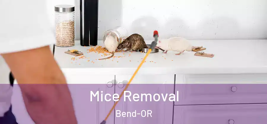  Mice Removal Bend-OR