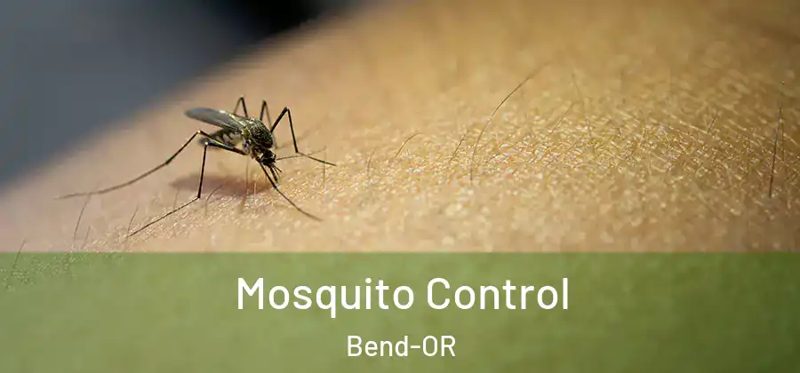 Mosquito Control Bend-OR