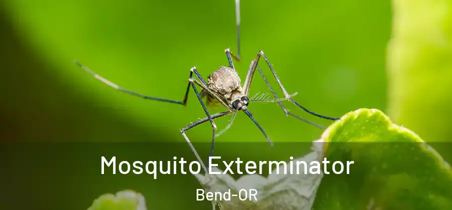 Mosquito Exterminator Bend-OR