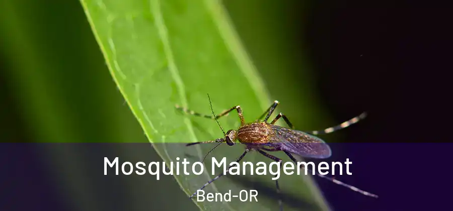 Mosquito Management Bend-OR