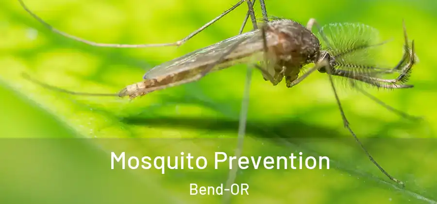 Mosquito Prevention Bend-OR