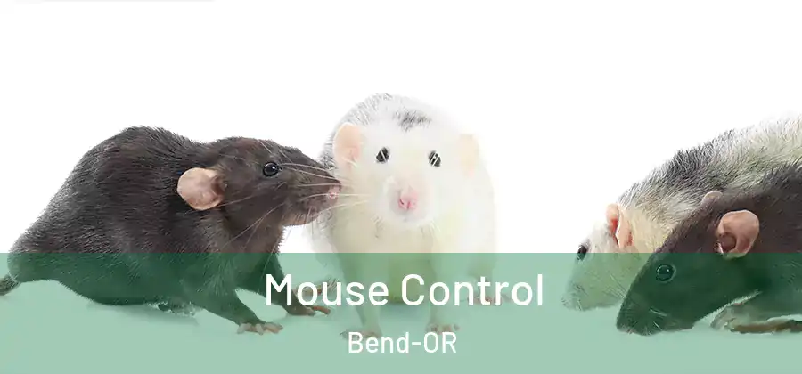 Mouse Control Bend-OR